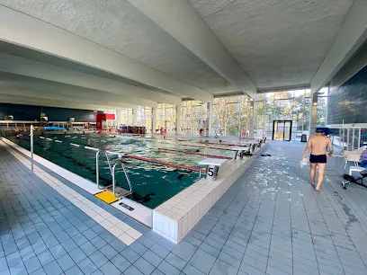 Image de Piscine Emile Anthoine