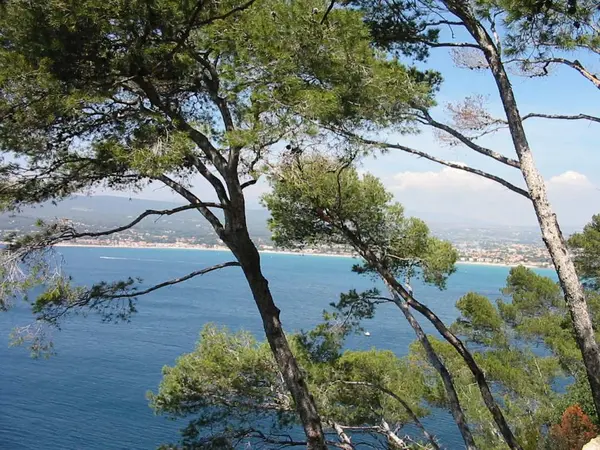 Votre Pisciniste Fabricant piscine inox Saint-Cyr-sur-Mer